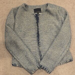 Banana Republic Blue Tweed Jacket